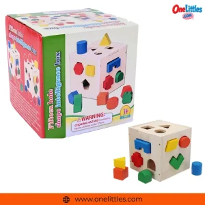 Fifteen Hole Shape Intelligence Box for Kids